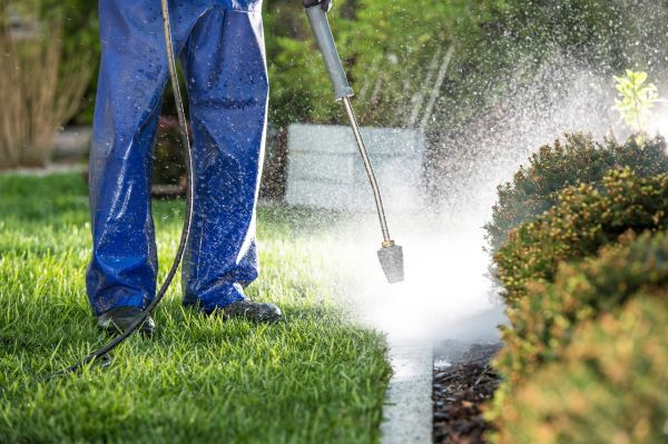 Curb Cleaning in Rockledge