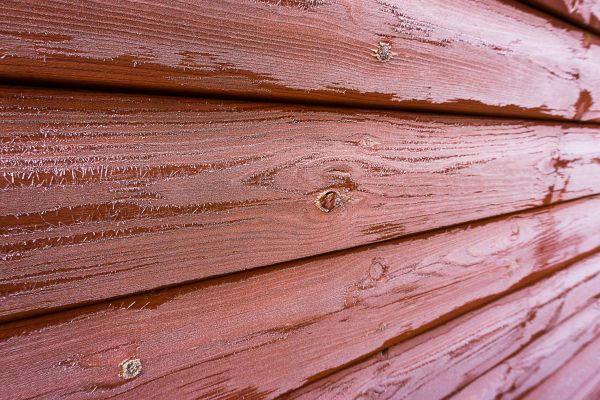 Cedar Siding Cleaning in Rockledge