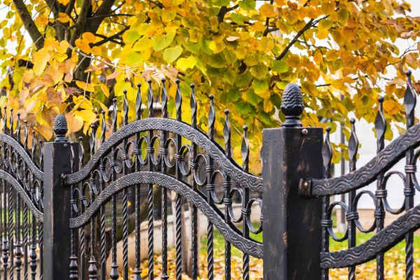 Wrought Iron Fence Washing in Rockledge