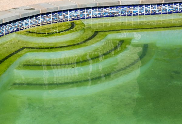 Pool Deck Algae Removal in Rockledge