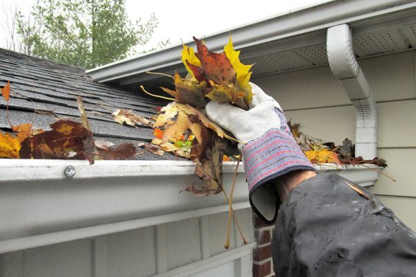 Eaves Cleaning in Rockledge