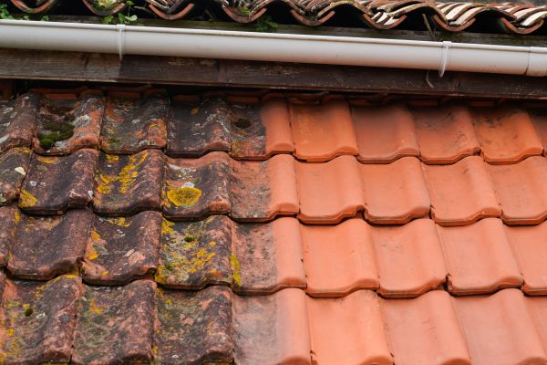 Industrial Roof Cleaning in Rockledge